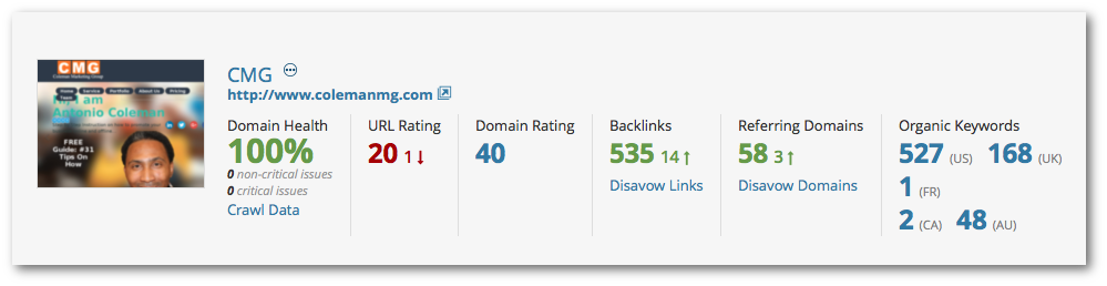 CMG January 2016 Monthly Local SEO Marketing Report Total Stats